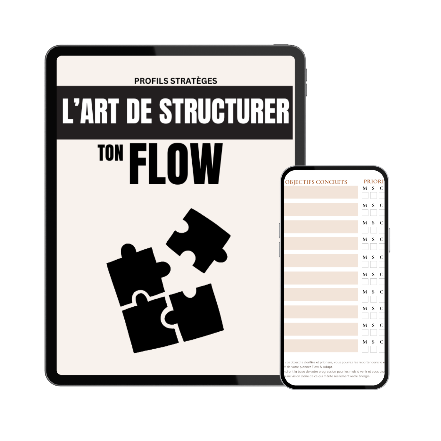 E-book Agile- Structurer sans se figer
